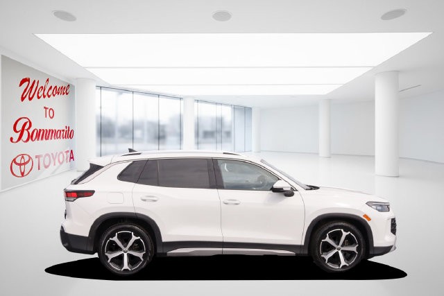 Volkswagen Tiguan Vehicle Image 05