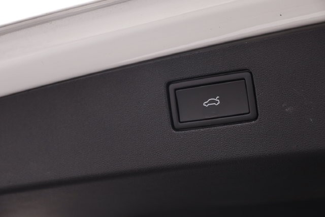 Volkswagen Tiguan Vehicle Image 08