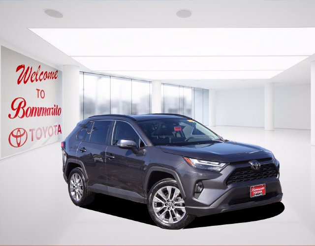 Toyota RAV4 Vehicle Image 02