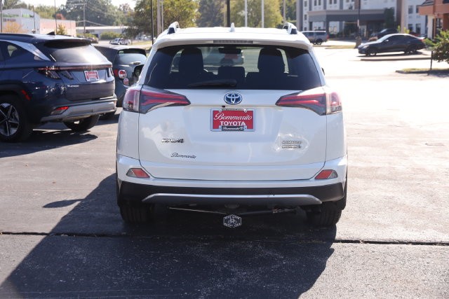 Toyota RAV4 Vehicle Image 06