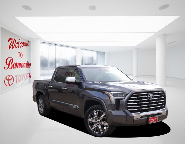 Toyota Tundra 4WD Vehicle Image 02