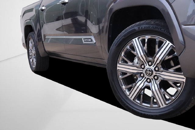 Toyota Tundra 4WD Vehicle Image 03