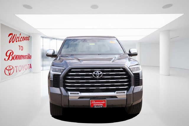 Toyota Tundra 4WD Vehicle Image 04