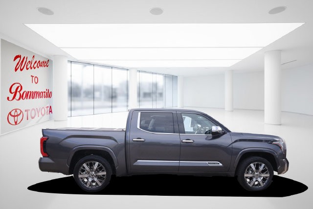 Toyota Tundra 4WD Vehicle Image 05