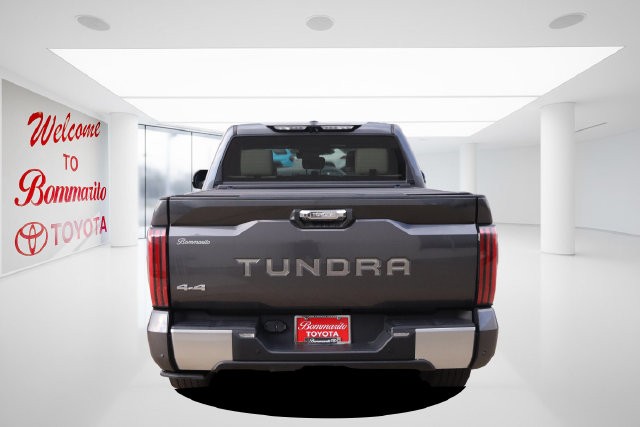 Toyota Tundra 4WD Vehicle Image 06