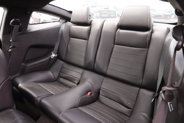 Ford Mustang Vehicle Image 13
