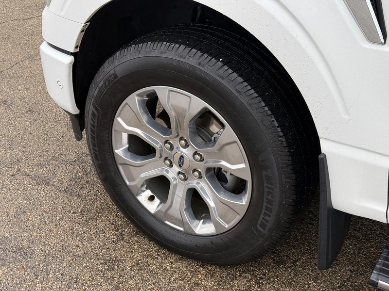 Ford F-150 Vehicle Full-screen Gallery Image 10