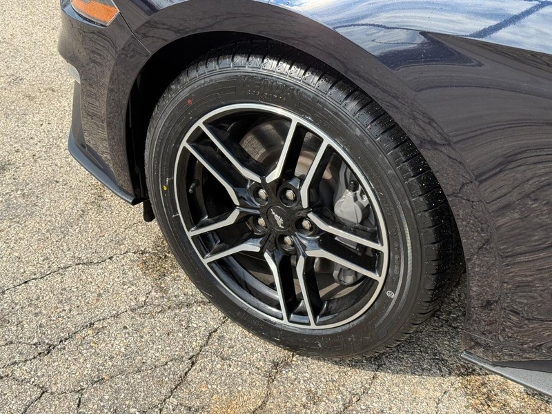 Ford Mustang Vehicle Full-screen Gallery Image 10