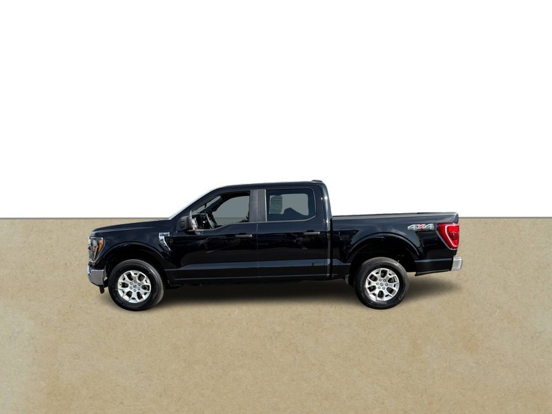 Ford F-150 Vehicle Full-screen Gallery Image 02