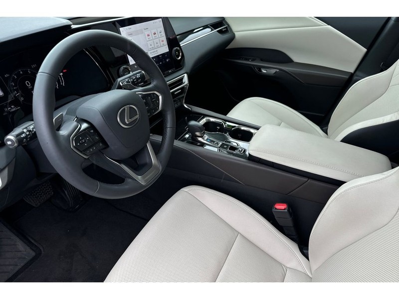 Lexus RX 350 Vehicle Full-screen Gallery Image 10