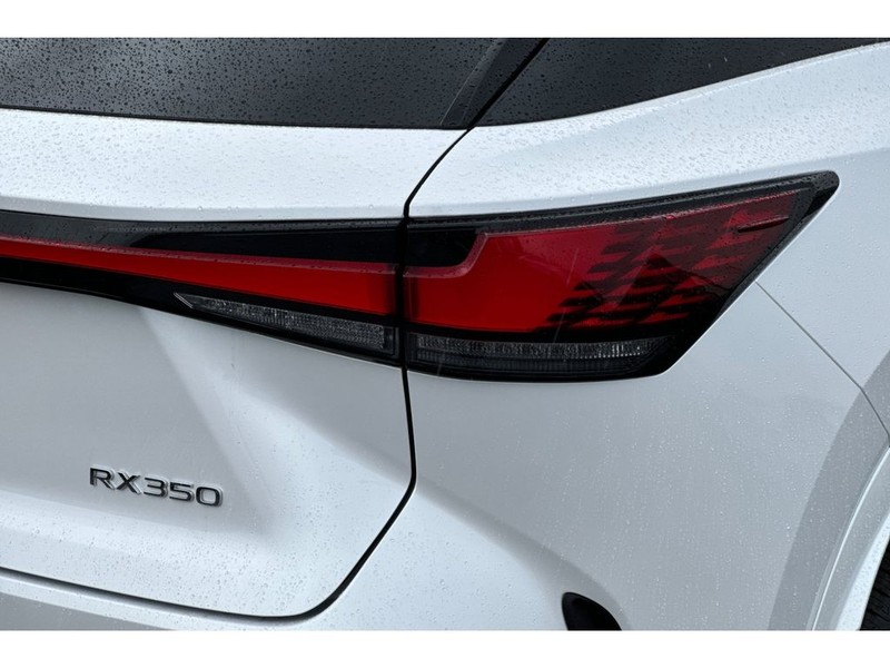 Lexus RX 350 Vehicle Full-screen Gallery Image 31