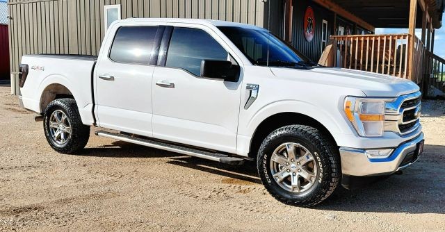 Ford F-150 Vehicle Full-screen Gallery Image 07