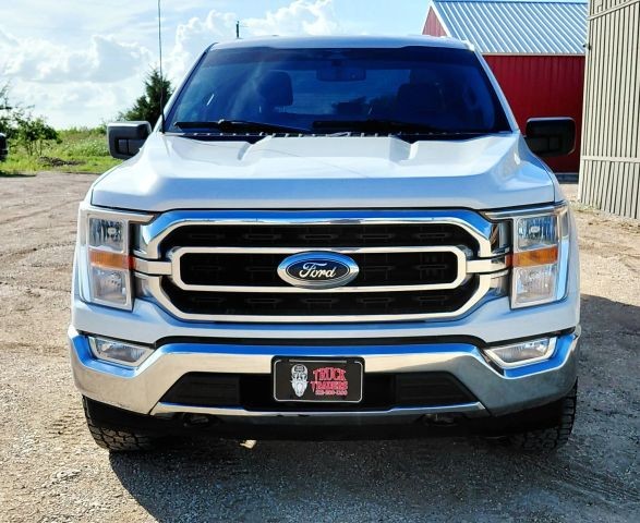 Ford F-150 Vehicle Full-screen Gallery Image 08