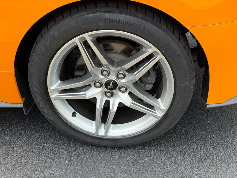 Ford Mustang Vehicle Image 7