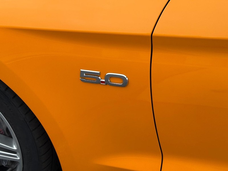 Ford Mustang Vehicle Image 8