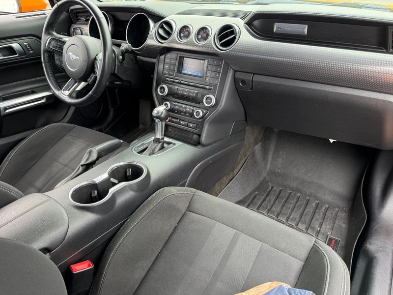 Ford Mustang Vehicle Image 12