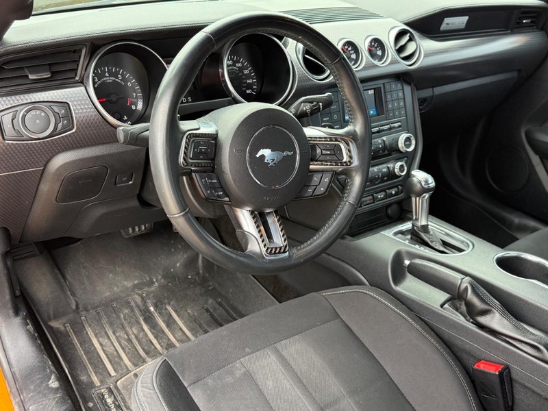 Ford Mustang Vehicle Image 15