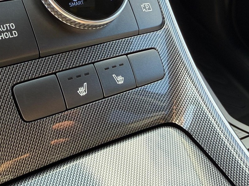 Hyundai Santa Fe Hybrid Vehicle Image 22