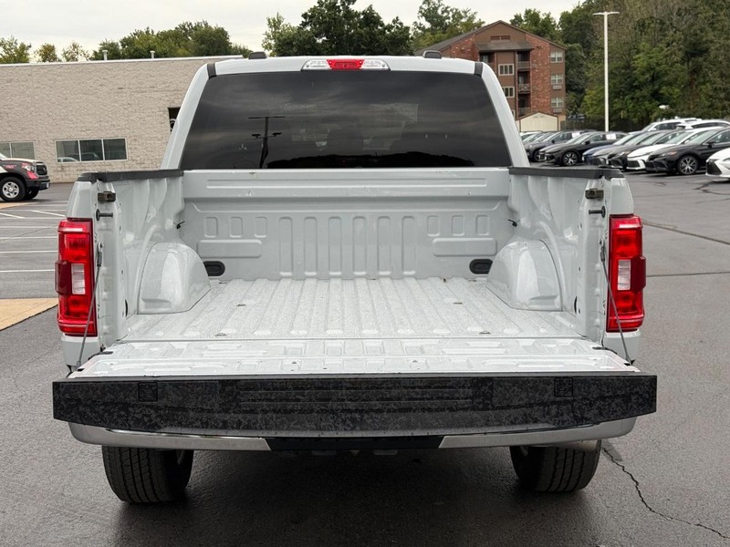Ford F-150 Vehicle Image 4