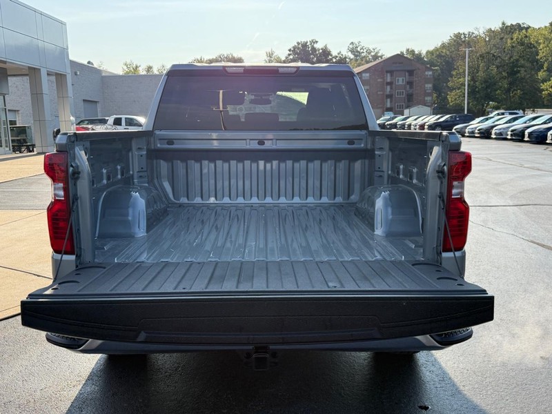 Chevrolet Silverado 1500 Vehicle Image 4
