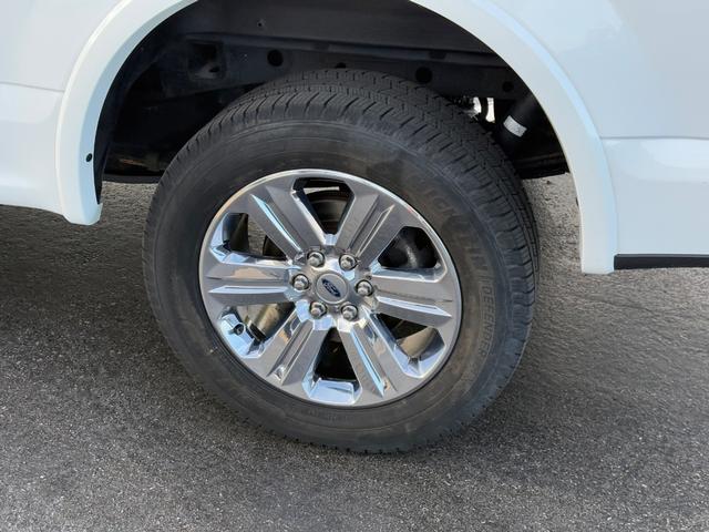 Ford F-150 Vehicle Image 7