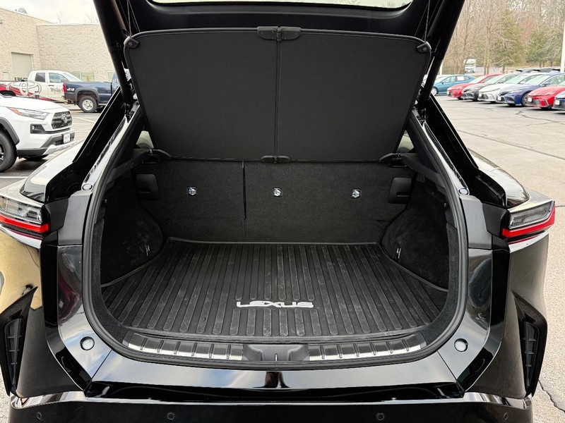 Lexus RZ Vehicle Image 4