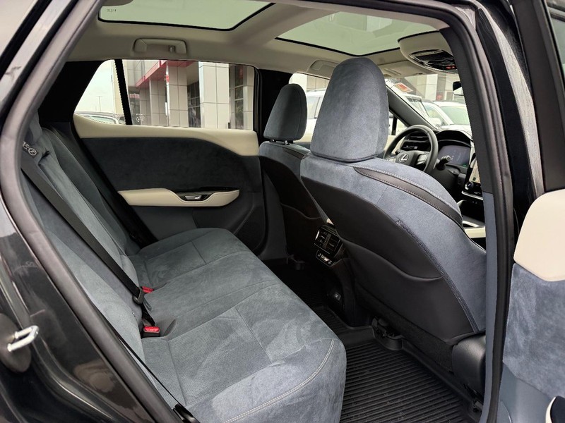 Lexus RZ Vehicle Image 11