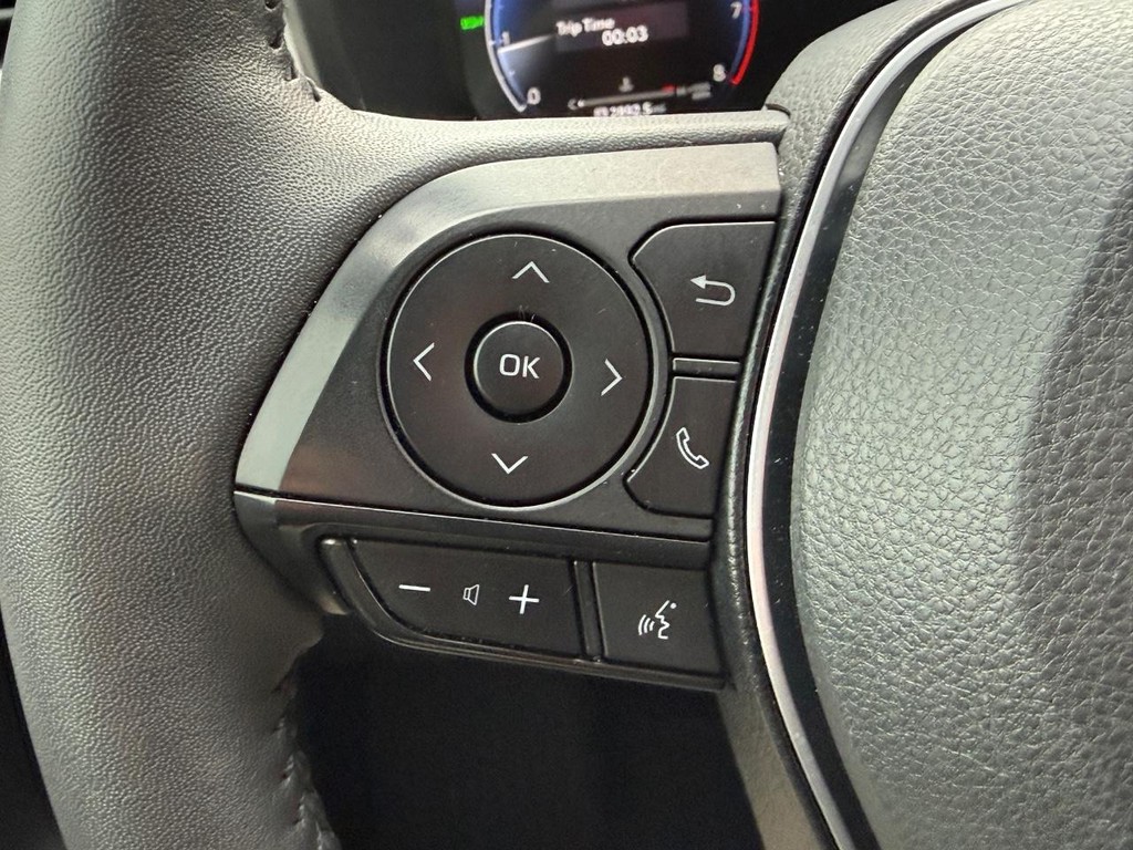 Toyota RAV4 Vehicle Image 19