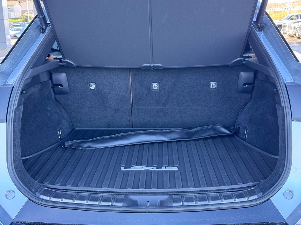 Lexus RZ Vehicle Image 4