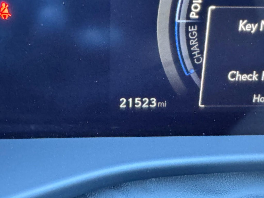 Lexus RZ Vehicle Image 21