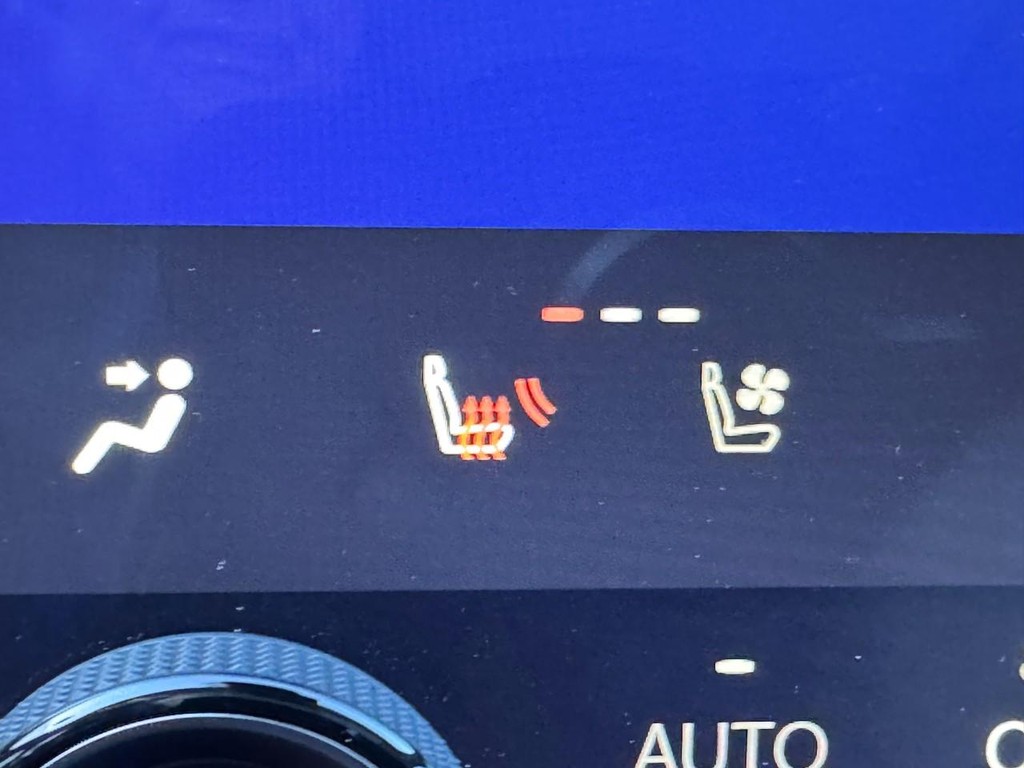 Lexus RZ Vehicle Image 22