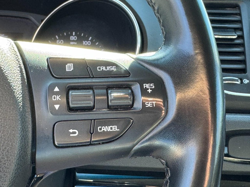 Kia Sedona Vehicle Image 20