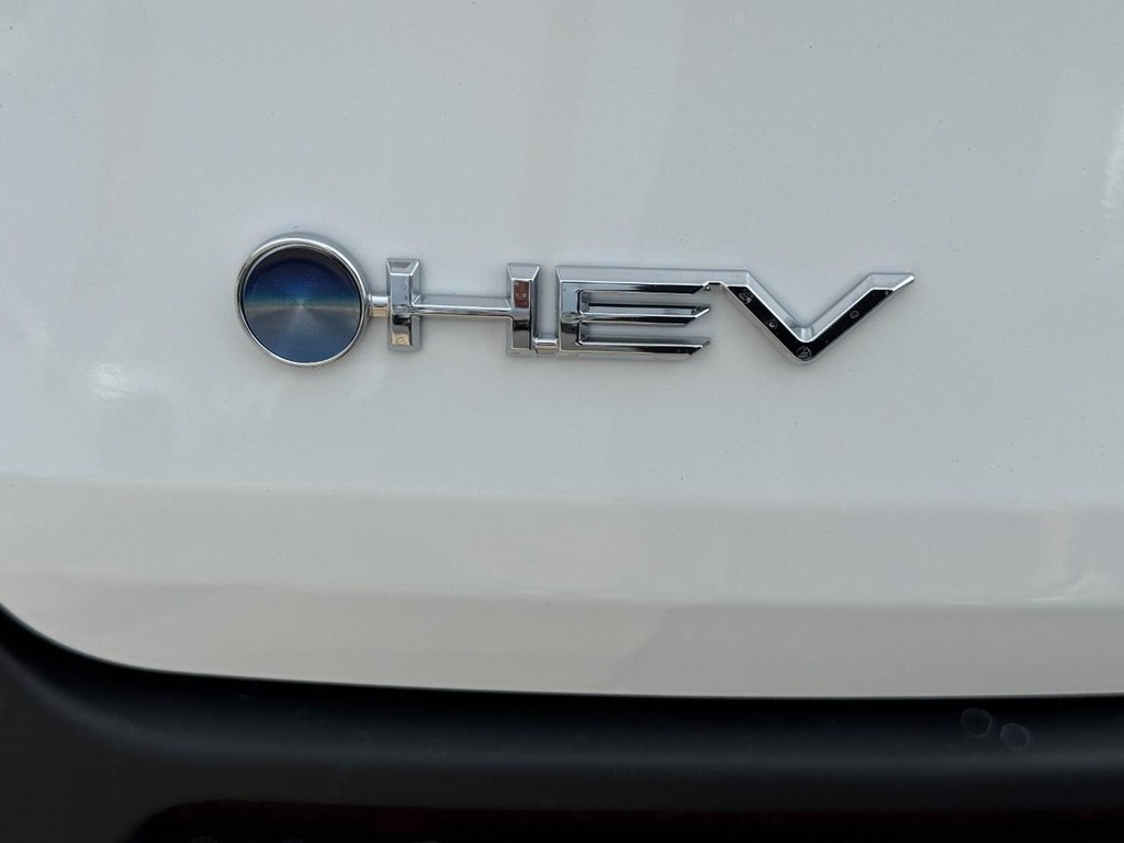 Toyota Sienna Vehicle Image 4