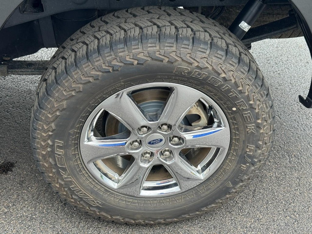 Ford F-150 Vehicle Image 7