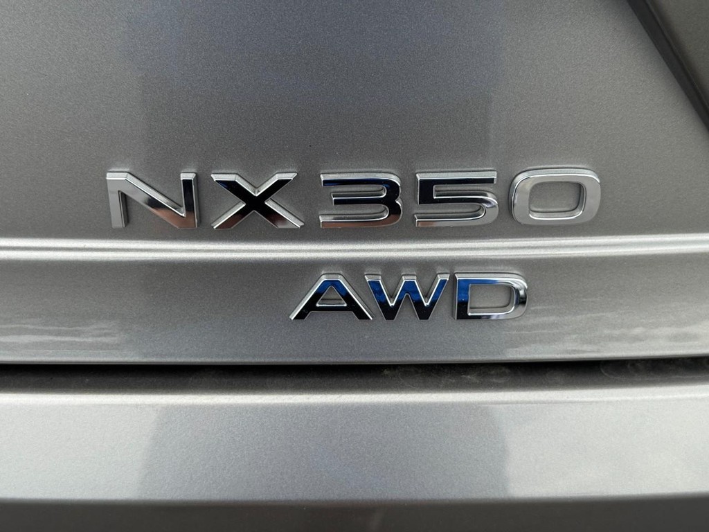 Lexus NX Vehicle Image 4