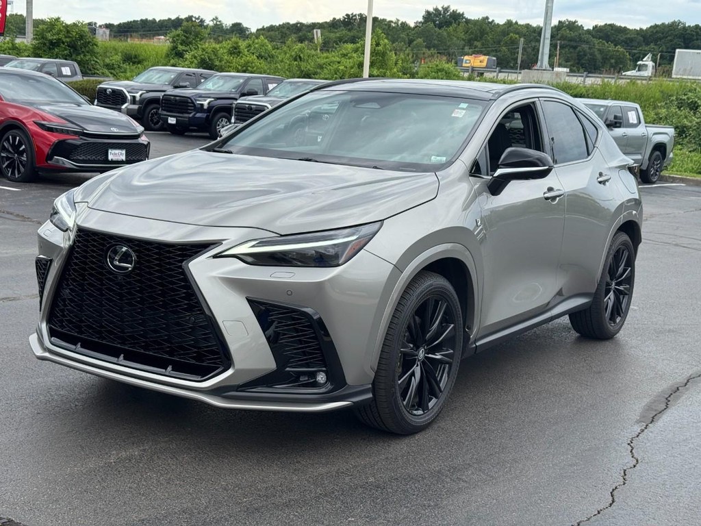 Lexus NX Vehicle Image 10