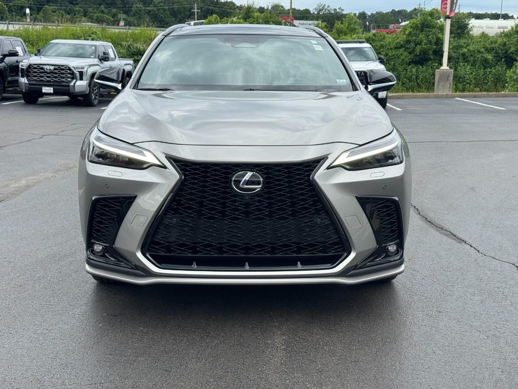 Lexus NX Vehicle Image 11