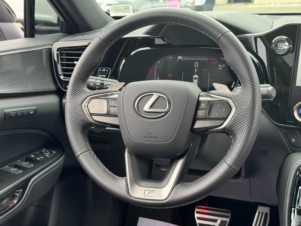 Lexus NX Vehicle Image 14