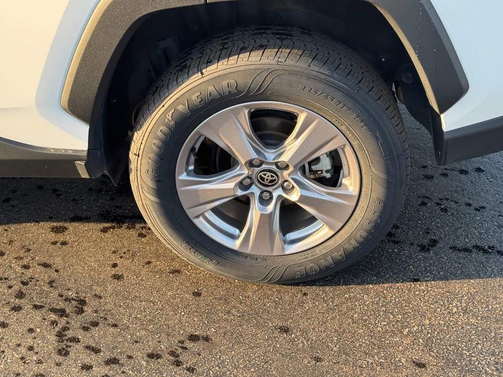 Toyota RAV4 Vehicle Image 8