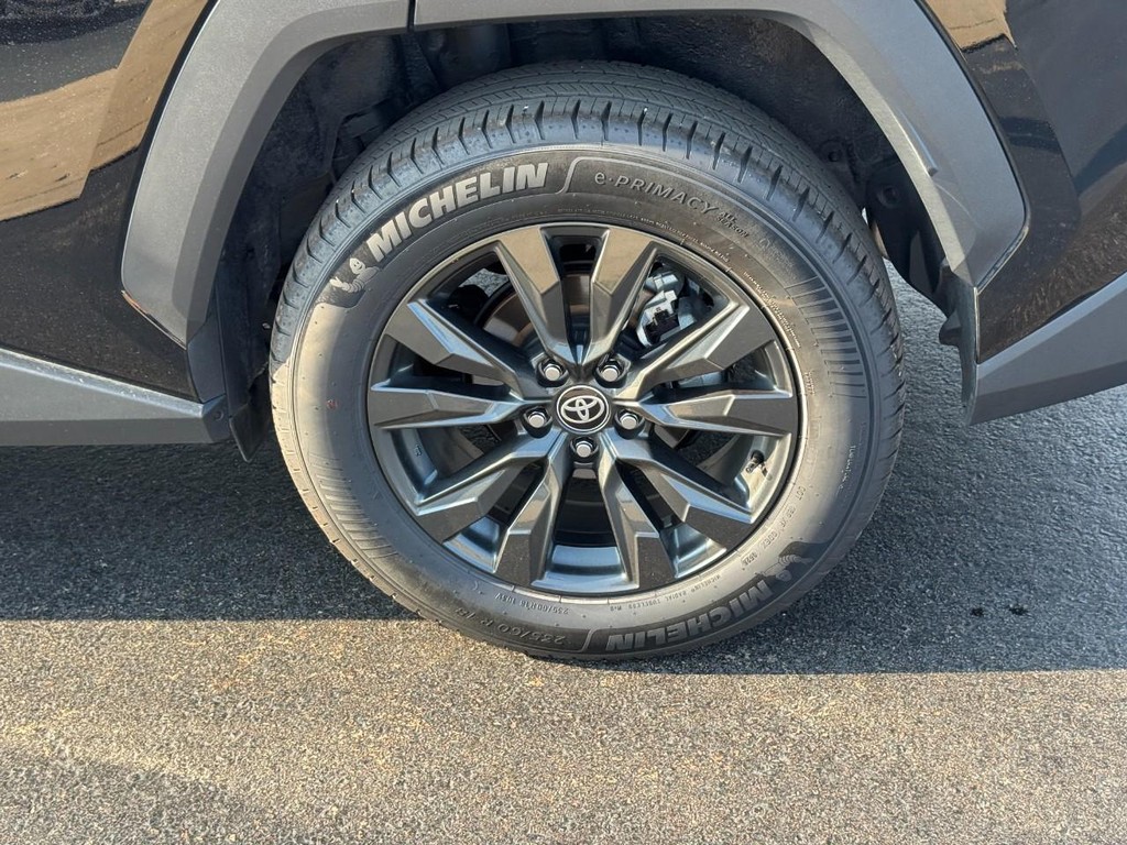 Toyota RAV4 Vehicle Image 8