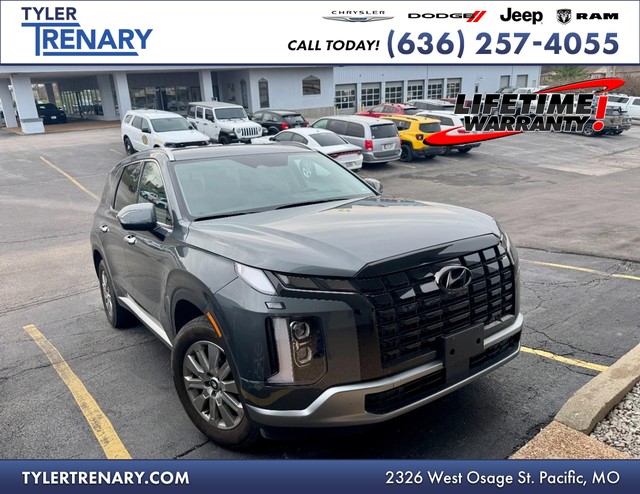 more details - hyundai palisade