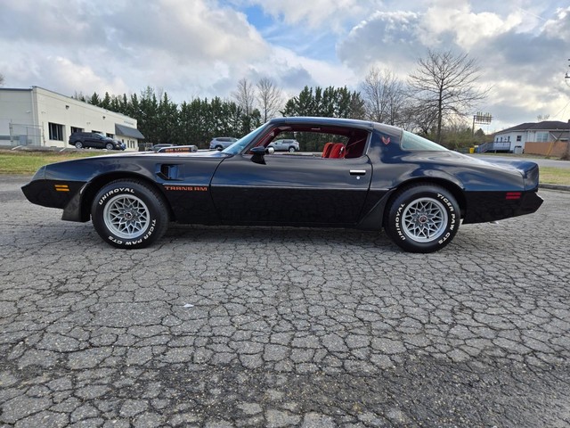 Pontiac Trans Am Vehicle Image 29
