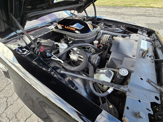 Pontiac Trans Am Vehicle Image 29