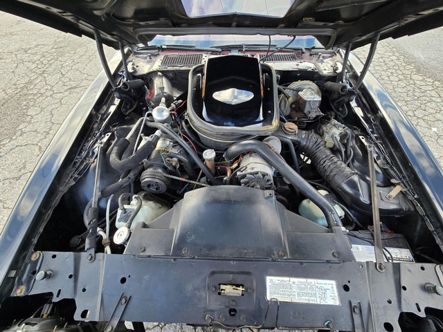 Pontiac Trans Am Vehicle Image 29