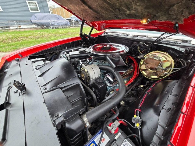 Pontiac GTO Vehicle Image 24