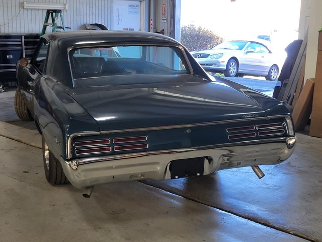Pontiac GTO Vehicle Image 03