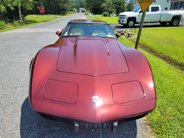 Chevrolet Corvette Vehicle Image 17