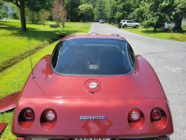 Chevrolet Corvette Vehicle Image 17