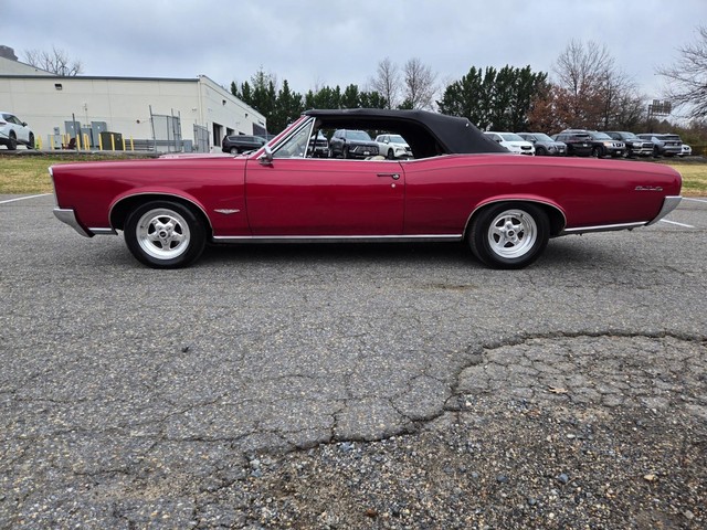 Pontiac GTO Vehicle Image 02