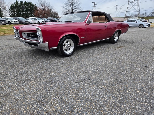 Pontiac GTO Vehicle Image 03